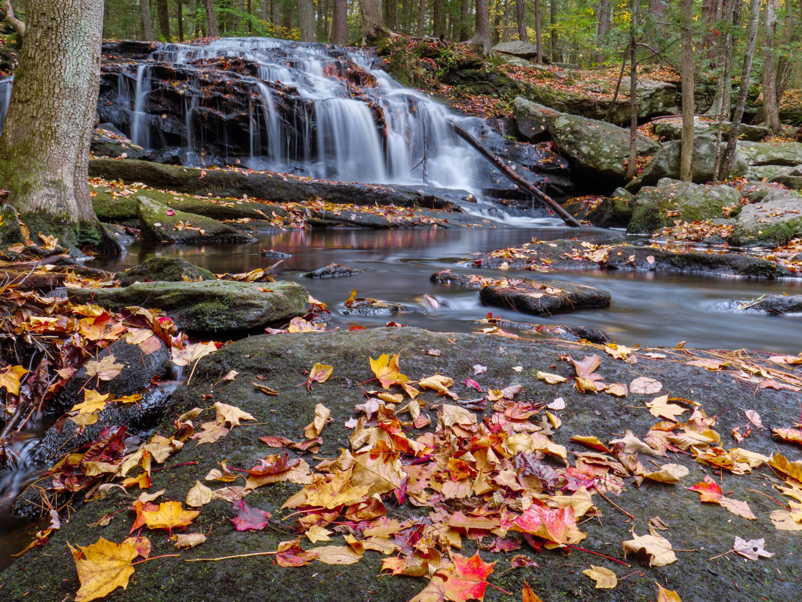 retirement advisor new england fall foliage